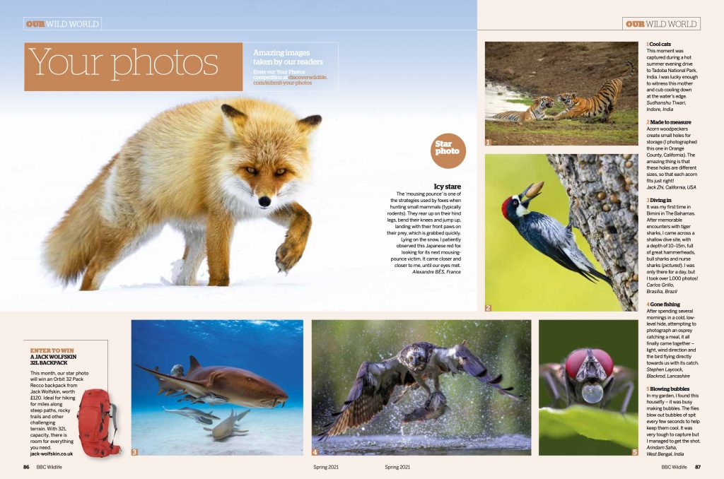 BBC WILDLIFE MAGAZINE 2021