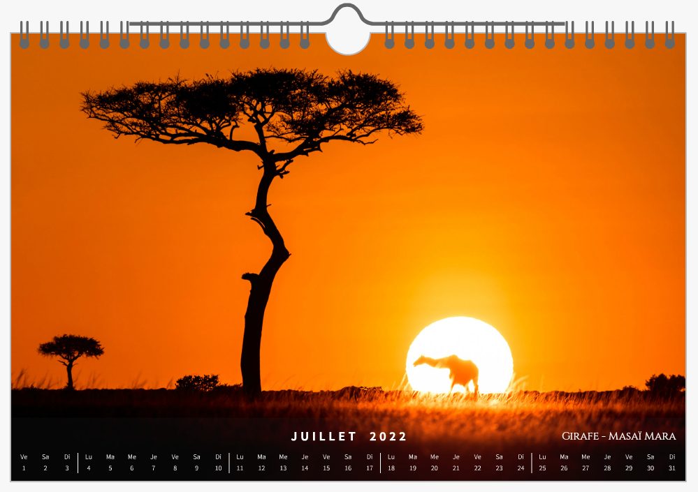 Page Juillet - Calendrier 2022