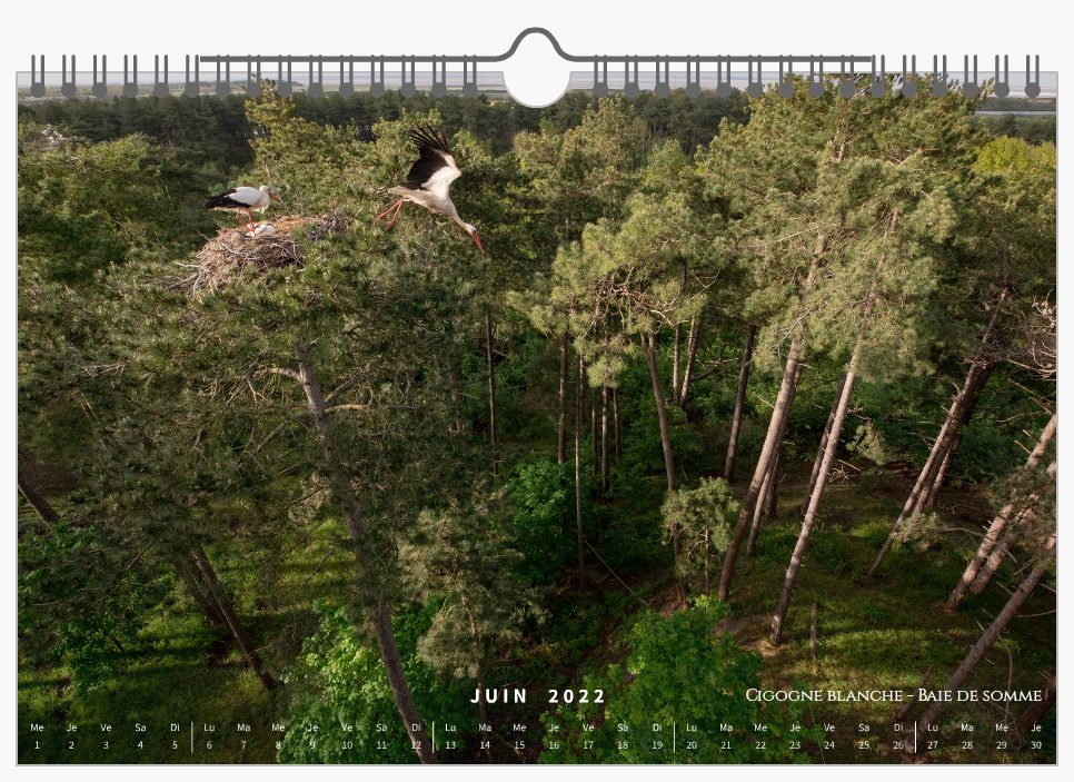 Page Juin - Calendrier 2022
