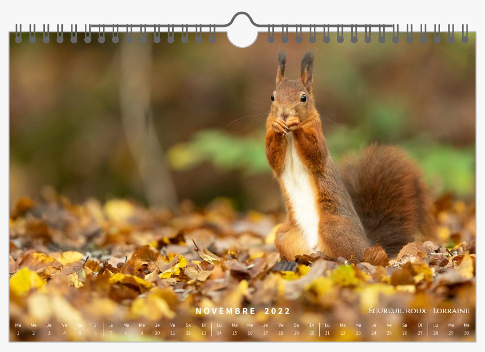 Page Novembre - Calendrier 2022