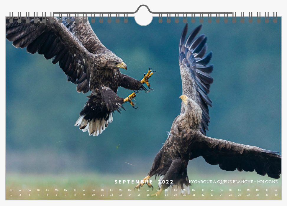 Page Septembre - Calendrier 2022