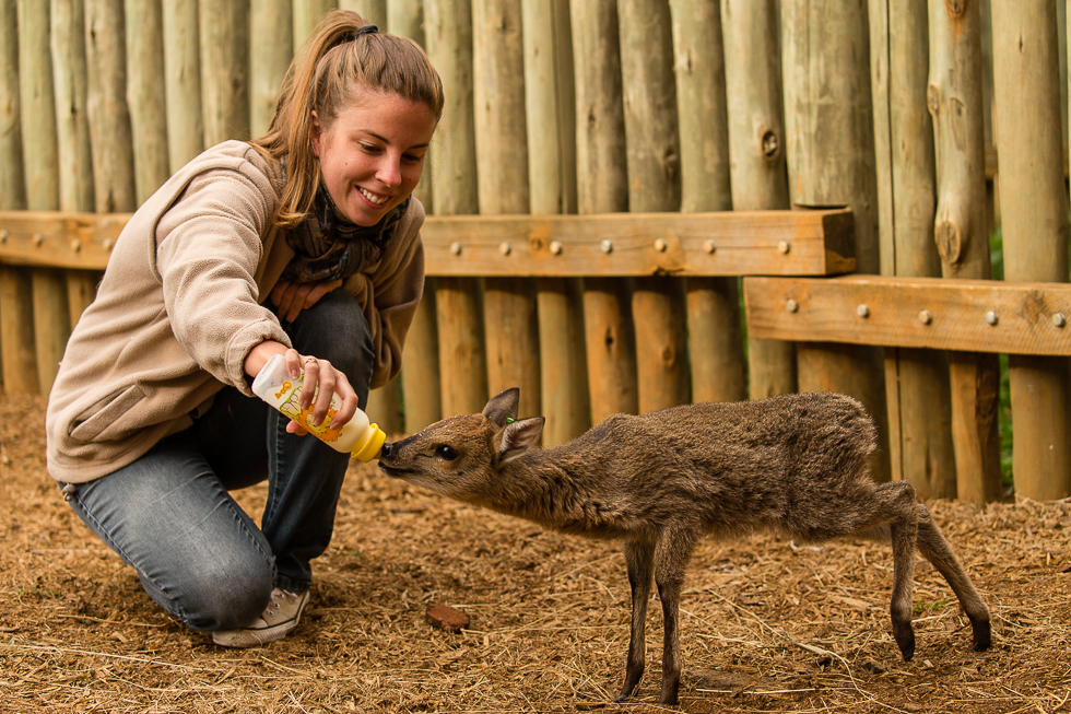 Photo de Constance - Aventure Africaine