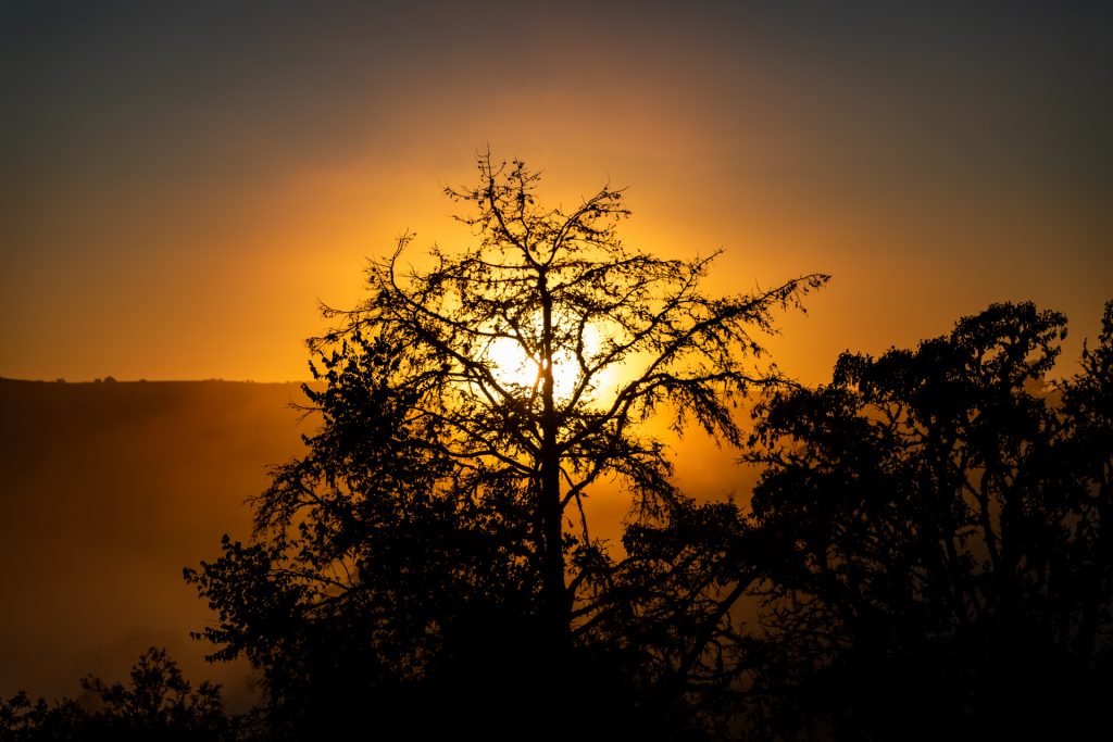 Photo du stage en Afrique du Sud - 5