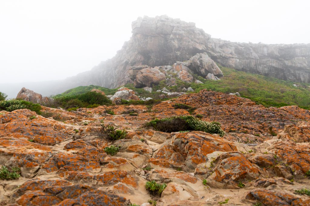 Photo du stage en Afrique du Sud - 12