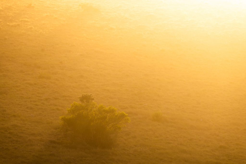 Photo du stage en Afrique du Sud - 16
